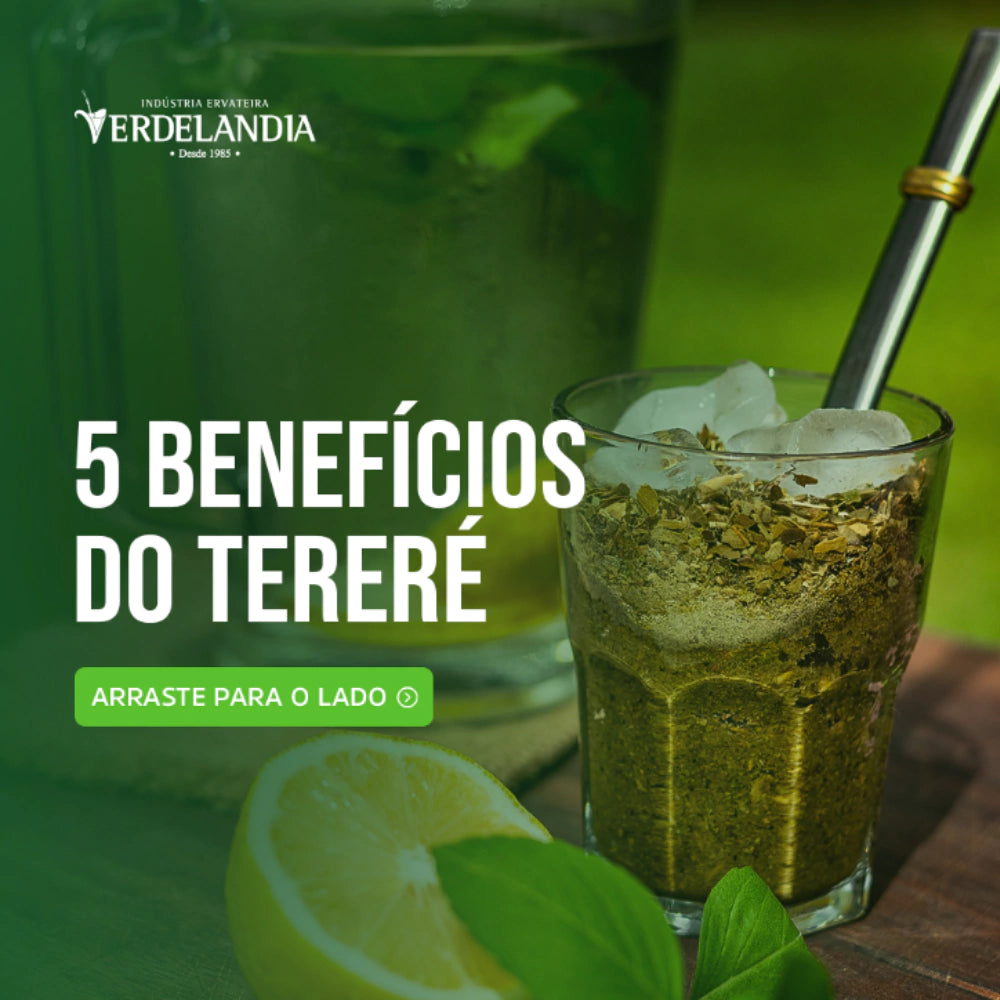 Erva Mate Terere Verdelândia Mate Gelado 500g (Escolha o Sabor)