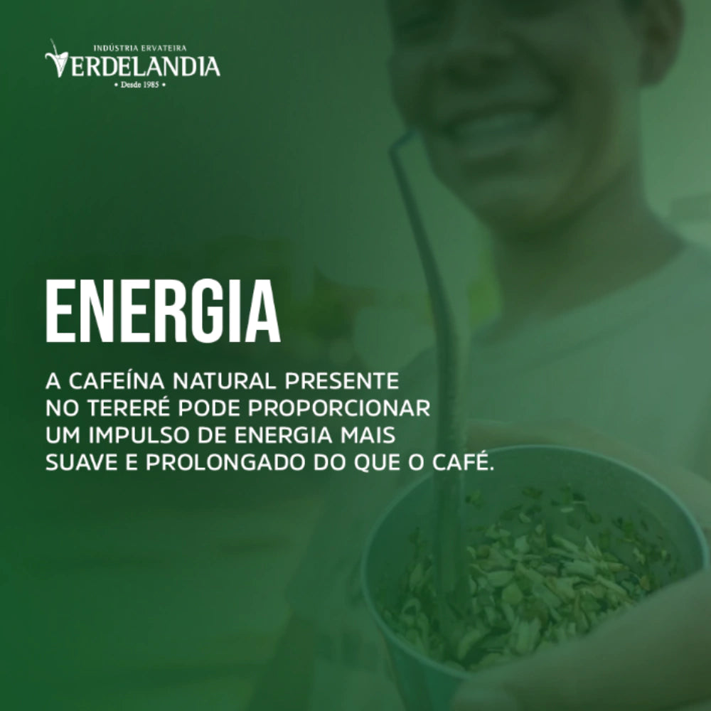 Erva Mate Terere Verdelândia Mate Gelado 500g (Escolha o Sabor)