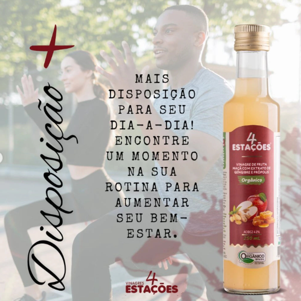 Vinagre de Maça Orgânico com Extrato de Gengibre e Própolis 4 Estações 250ml