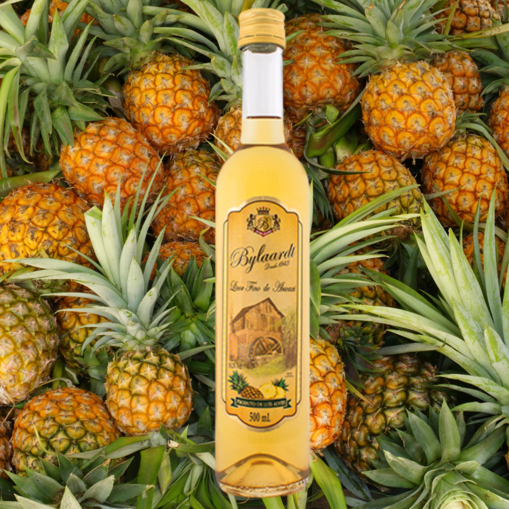 Licor Bylaardt – Tradição e Sabor Direto da Terra da Cachaça