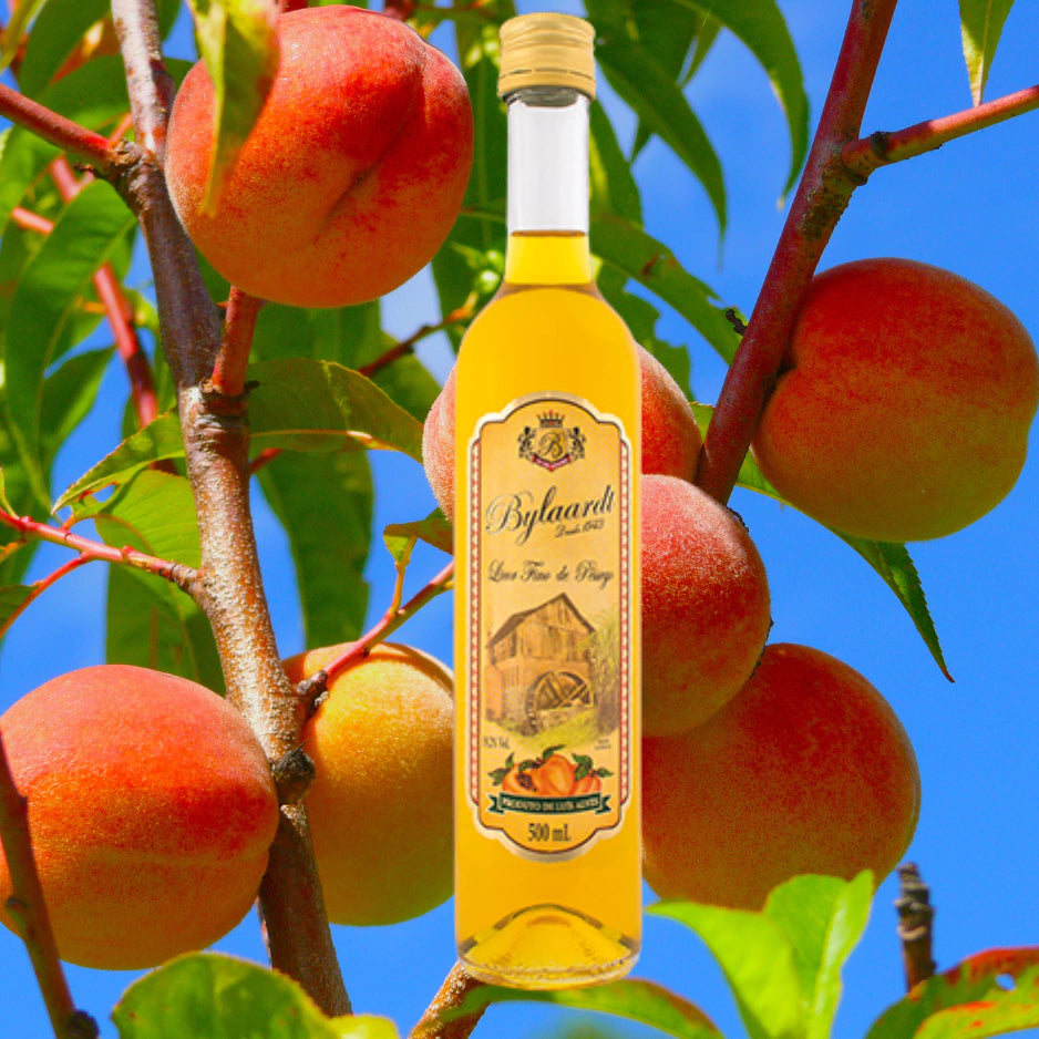 Licor Bylaardt – Tradição e Sabor Direto da Terra da Cachaça