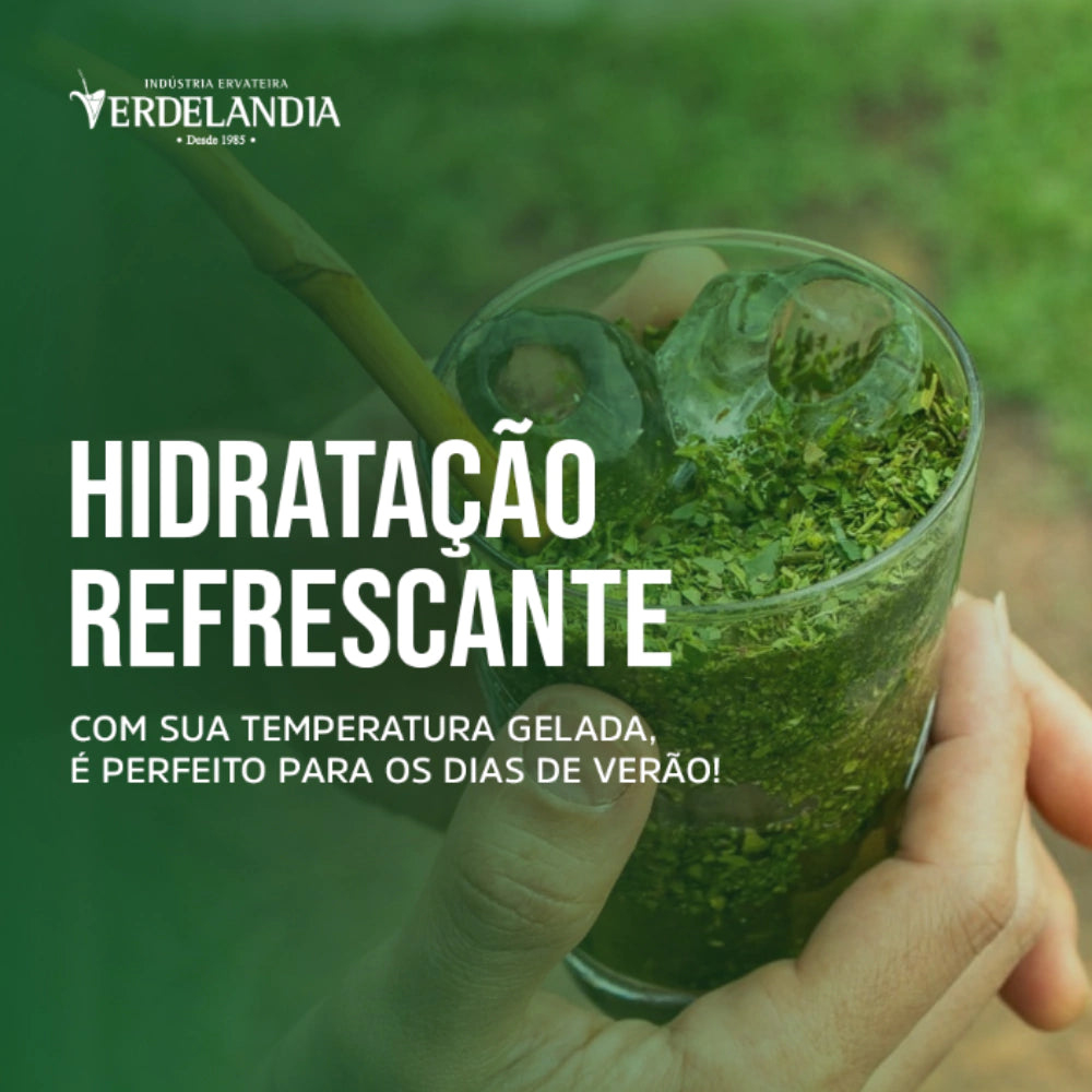 Erva Mate Terere Verdelândia Mate Gelado 500g (Escolha o Sabor)
