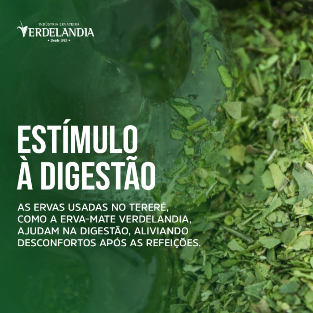 Erva Mate Terere Verdelândia Mate Gelado 500g (Escolha o Sabor)