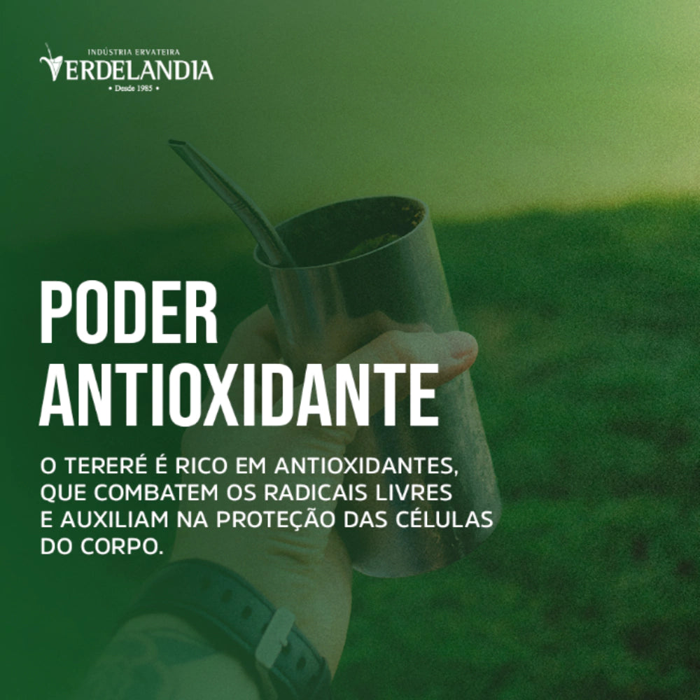 Erva Mate Terere Verdelândia Mate Gelado 500g (Escolha o Sabor)