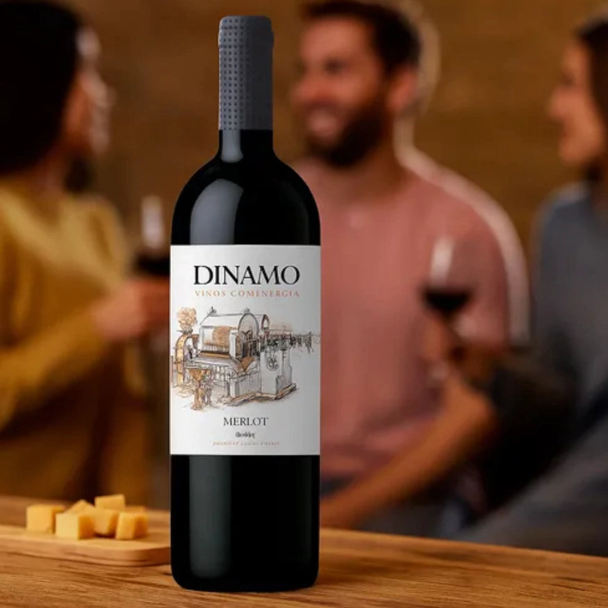Vinho Fino Tinto Merlot Chileno Dinamo 750ml