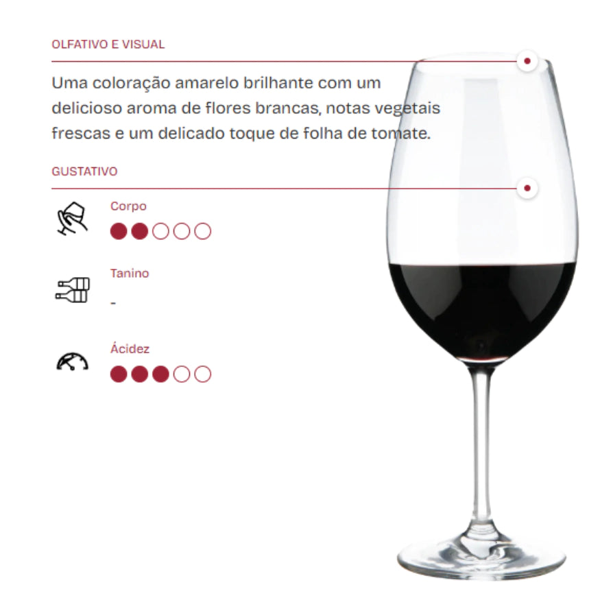 Vinho Fino Branco Dinamo Sauvignon Blanc 750ml
