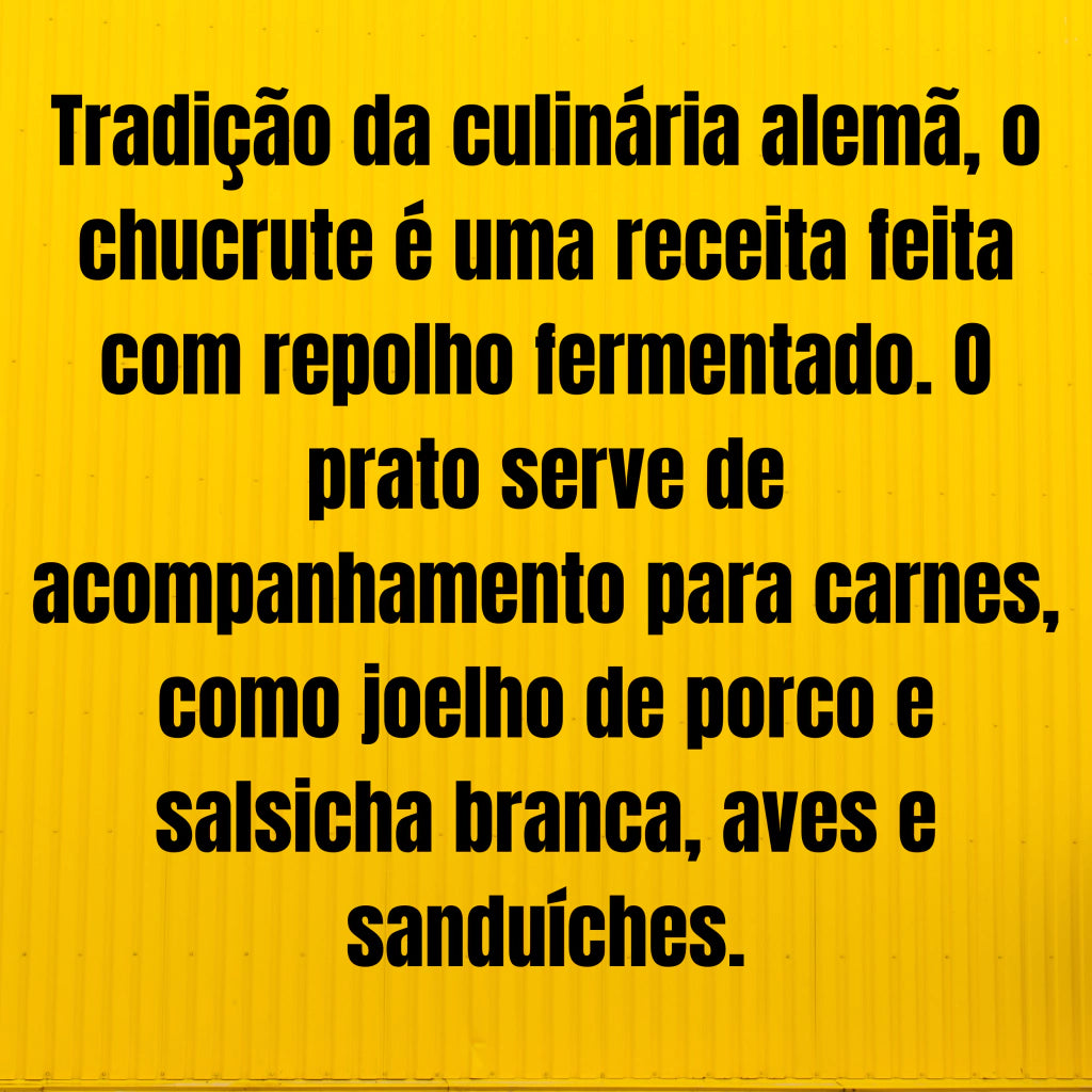 Chucrute em Conserva Danimar CX 15 UNIDADES